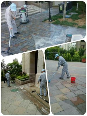 恒德物業(yè)坦誠(chéng)小區(qū)五月工作通報(bào) 深化保潔服務(wù)，共建整潔家園